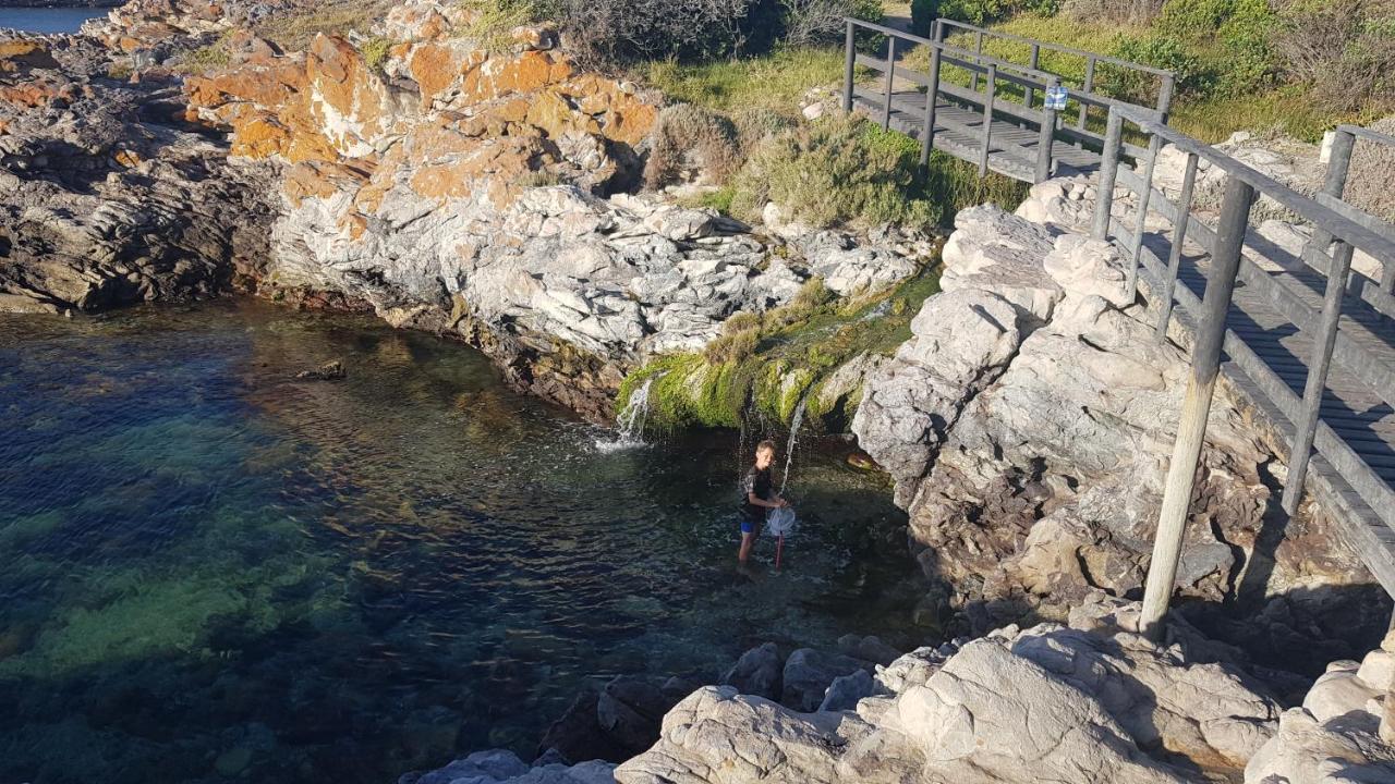 Whale Sea Cottage Gansbaai Exterior foto